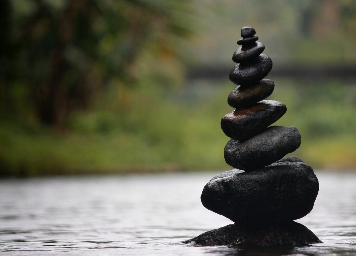 bay area cbt therapy sf