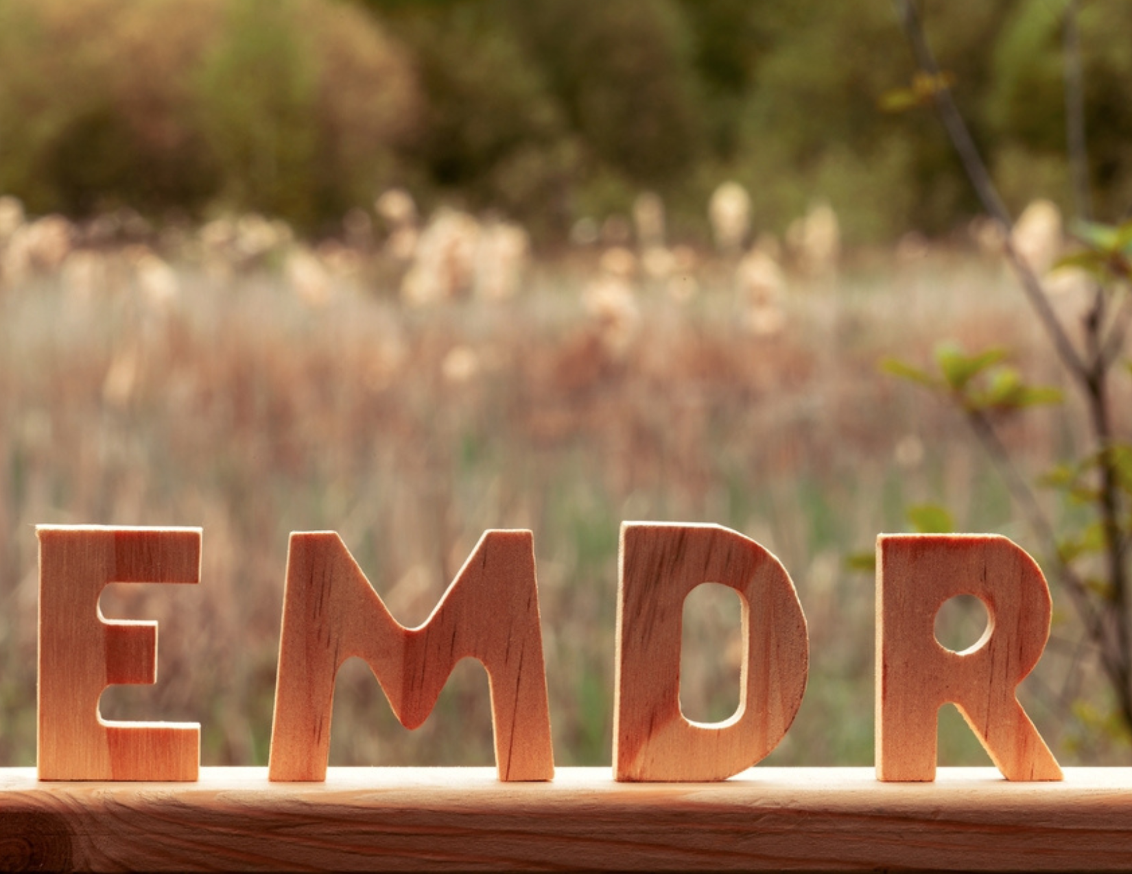 EMDR Therapy Explained Understanding Trauma Treatment At Bay Area CBT Emdr therapy explained understanding trauma treatment at bay area cbt