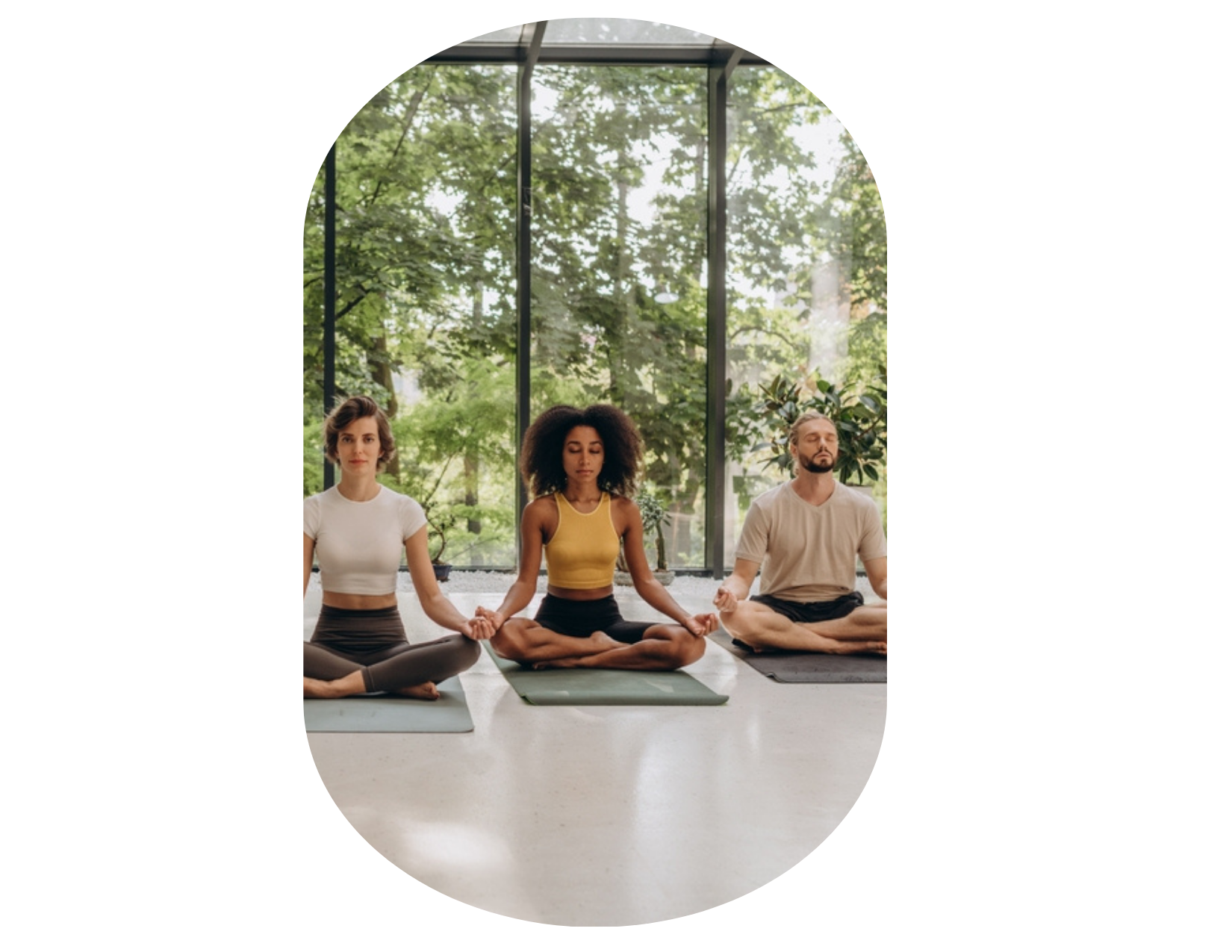 Three people sit cross-legged on yoga mats indoors, meditating in front of large windows with green trees visible outside—an ideal scene for those searching for couples retreats near me.